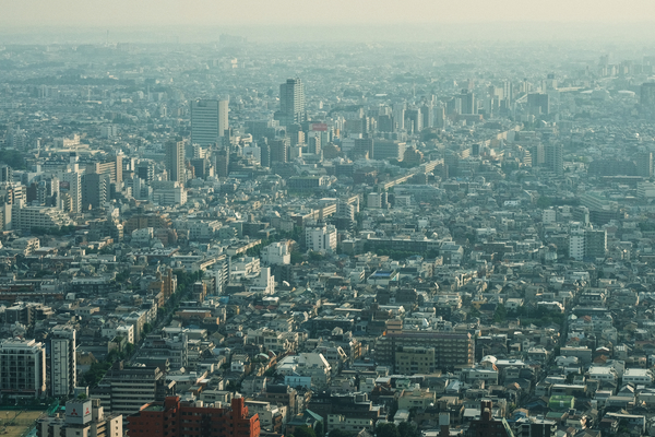 DSCF1194.jpg
