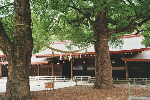 DSCF1299.jpg