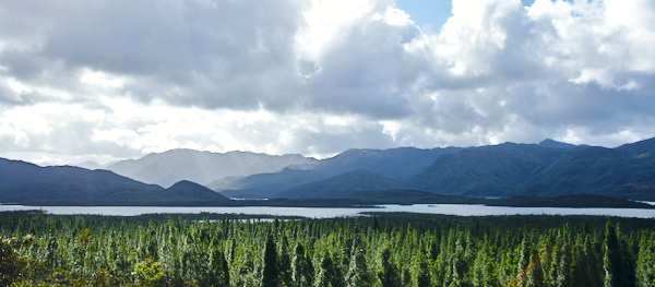 DSCF2648_02