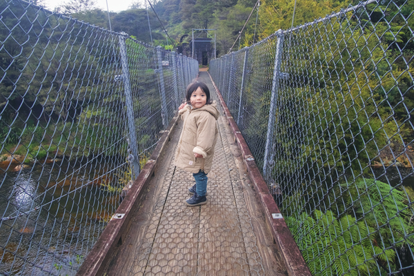 DSCF3523